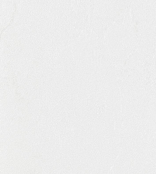 Bernardo Bartalucci Gaga  84284-16