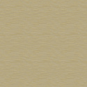 Z57729